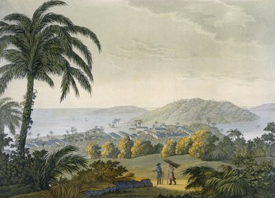 Ilheus von Paolo Fumagalli